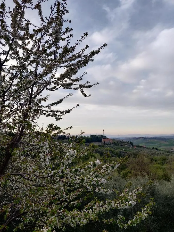 Apartment Il Rusticano Chianni