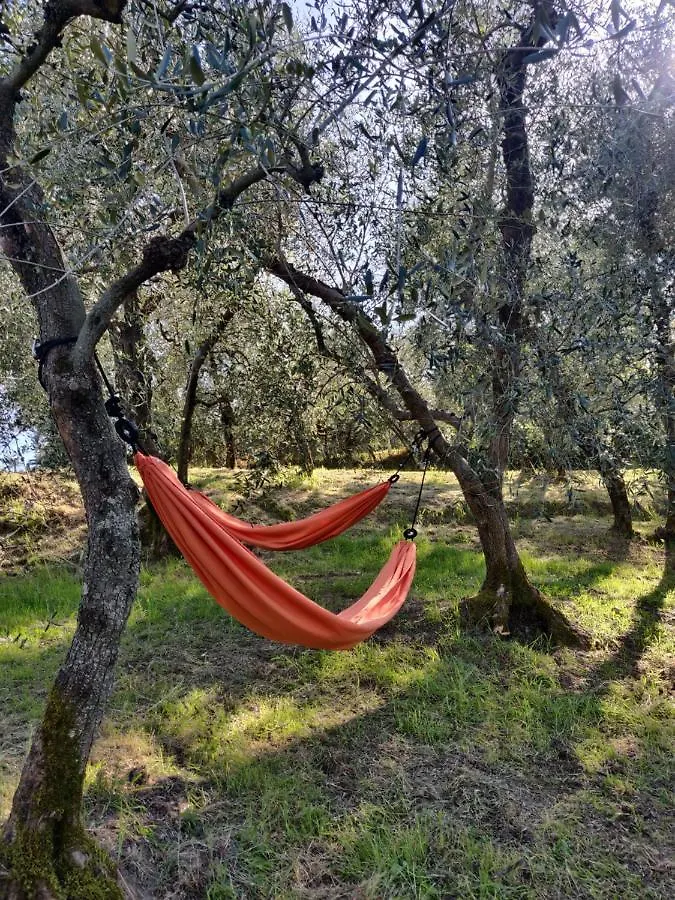 Il Rusticano Chianni